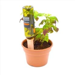 Bosmere Clay Clay Wine Bottle Drinks -Watering Zone 1a8cc232 547a 43b4 965a dfbd46eab77b