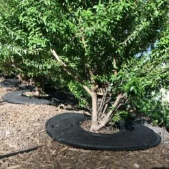 Raindrip For 1/4 In. Tubing Precision Watering Pad 0.5 In. H 1 Pk -Watering Zone 3b3fa0b3 f3cf 42e2 870a 4e0fa0eeb97b