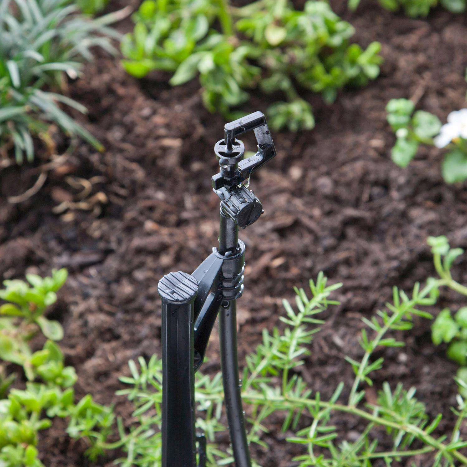 Raindrip Full-Circle Pop-Up Rotary Sprinkler 4 Raindrip Full-Circle Pop-Up Rotary Sprinkler - Image 2