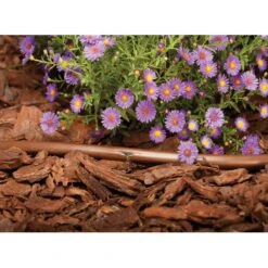 Rain Bird Polyethylene Drip Irrigation Emitter Tubing 1/2 In. D X 100 Ft. L -Watering Zone 79dcb450 9072 4dbd ad9e b61fedf7ce58