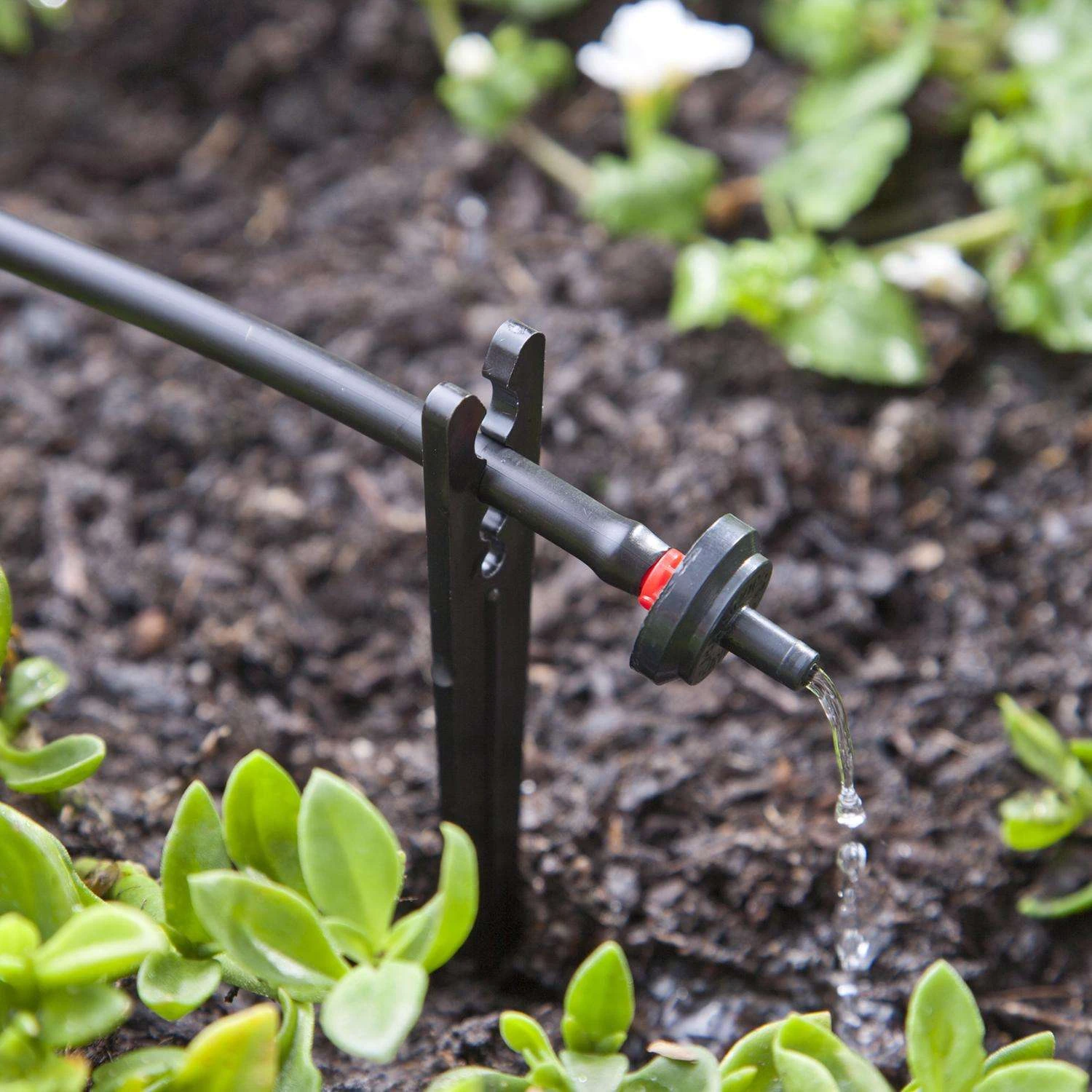 Raindrip Spot Drip Irrigation Dripper 0.5 Gph 25 Pk 6 Raindrip Spot Drip Irrigation Dripper 0.5 Gph 25 Pk - Image 4