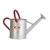 Ace Gray 2 Gal Steel Watering Can