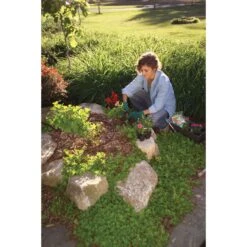 Rain Bird For .866 In. Tubing Drip Tubing Cutter And Punch Tool 8.4 In. H 1 Pk -Watering Zone d5860fc0 0500 45e1 8f6c 5e261c050ea4