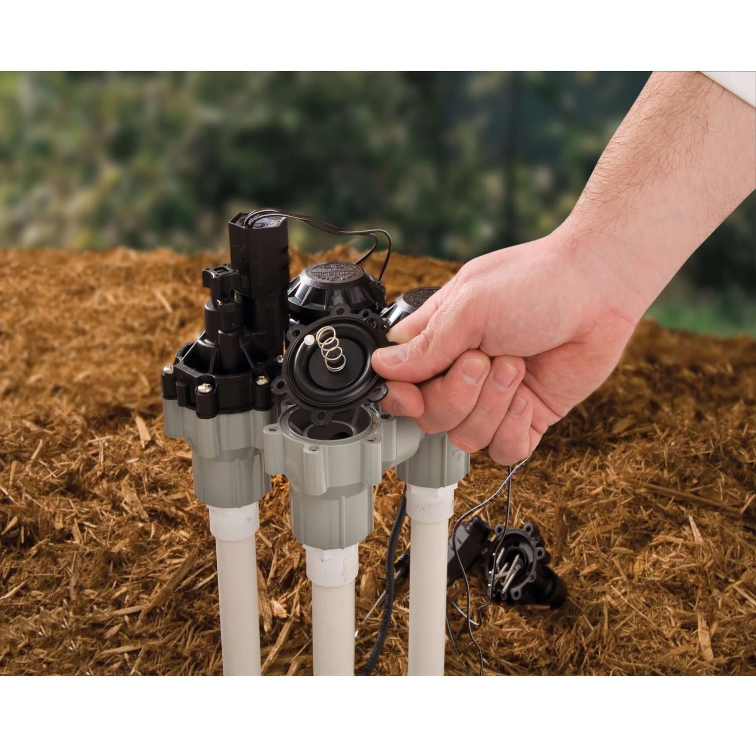 Rain Bird Anti-Siphon Valve 1 In. 150 Psi 4 Rain Bird Anti-Siphon Valve 1 In. 150 Psi - Image 2