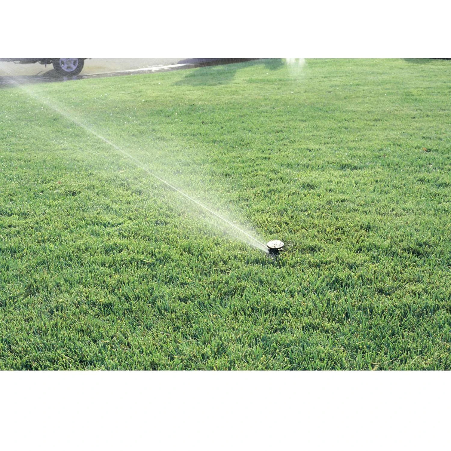 Rain Bird 3 In. H Adjustable Impulse Sprinkler 7 Rain Bird 3 In. H Adjustable Impulse Sprinkler - Image 5